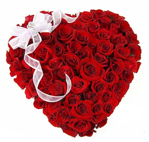 Heartfelt Red Roses in Luxury Wrapping 1 Heartfelt Red Roses in Luxury Wrapping